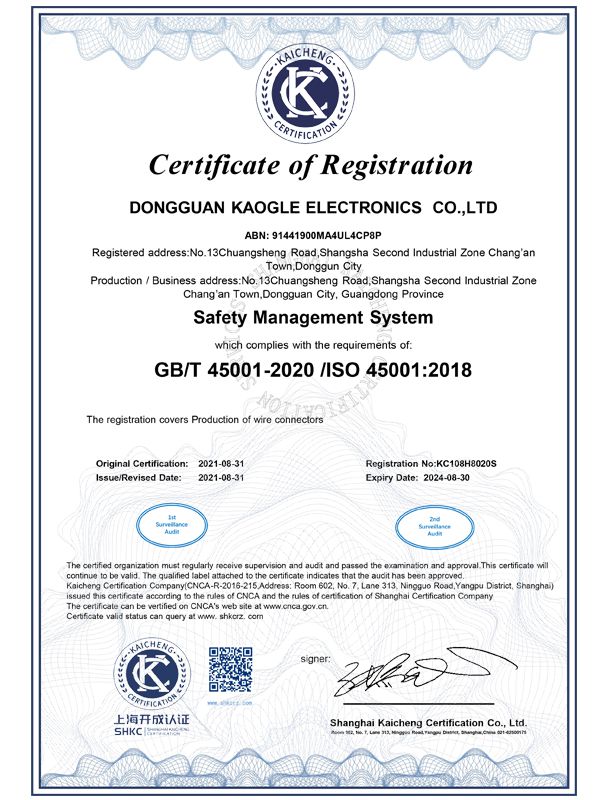 ISO45001 Certification