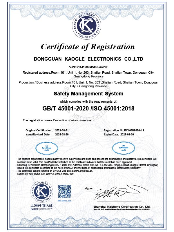 ISO45001管理体系证书--英文版